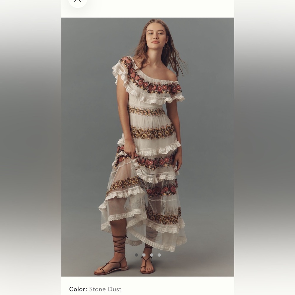 NWOT By Anthropologie Ruffle Sleeve Embroidered Tulle Tiered Lace Maxi Dress 6